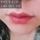 11545-05-03-06 | OPERA 오페라립틴트 06 핑크레드 립스틱, 촉촉한 데일리립스틱 찾는다면 이거 (쿨톤 MLBB 추천)