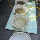 선사크리닝 이미지