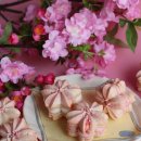 햅삐제과 | 전국에서 사랑받은 봄 디저트, 햅삐제과 벚꽃마카롱🌸