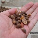 풍년칼국수 이미지