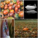 인계 블리비의원 이미지