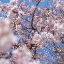 덕풍수변공원 이미지