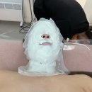 더프린세스스킨앤바디