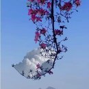 음지마을1 이미지