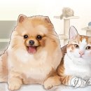 [WEEKEND 스토리] 유행 타는 반려동물 이름-‘뽀삐’ 가고 ‘루나’ ‘코코’ 대세 이미지