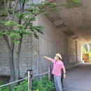 갈매천변 이미지