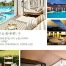 신라호텔 이미지