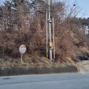 칠보식당 이미지