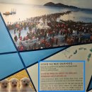 GR(진도군)-17[남산로]-상-2 | 6가지가 잘 조합된 관광지에는 100% 손님의 방문이 생긴다. (진도가볼만한곳, 진도갈만한곳, 진도 쏠비치)