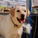 달빛농장 이미지