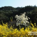 hy노동조합 이미지