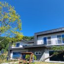 젤코바480 이미지