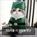 숑사탕 이미지