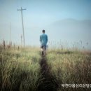 다움심리상담연구소