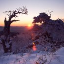 (제30차) 1월 정기산행:덕유산 (눈꽂산행)1,614m 이미지