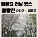 장안1제방 | [서울 러닝 코스] 중랑천 벚꽃 러닝 l 군자교 ~ 월릉교 6.5km(ft. 장안벚꽃로)