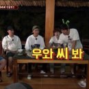 도니 이미지