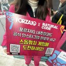 나나비펫 | 궁디팡팡 캣페스타 서울 세택 고양이 박람회 궁팡 방문 후기 및 하울 추천템 후기