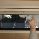 버드글램핑 이미지