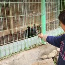 산상낙원 이미지