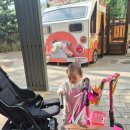 21세기 | 아이 첫 스쿠터 21세기 스쿠터 추천 후기:)