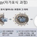 라인메디 이미지