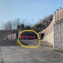 林(림)스테이 이미지