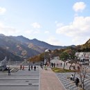 통일상회