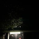 제주웨스트 | 제주 애월 숙소 하버하우스웨스트 후기