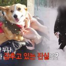 수상한누나네