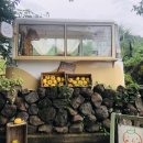 엉또김밥 이미지