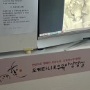 남동119 | 완모도전중 D+25, 유두백반으로 오케타니 남동점 다녀온 후기