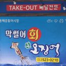막썰어회산오징어