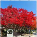 희망이 펜션 이미지