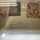 띠네네일모해