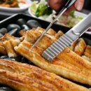 풍천장어 이미지