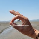 웅도스토리 이미지