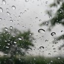 유니시티행복부동산중개사무소 이미지