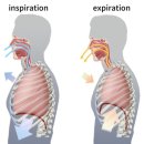 BNA FITNESS 이미지