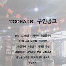 티지오(TGO)헤어