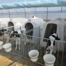 희망축산농장 이미지