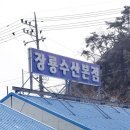 장룡수산본점 이미지