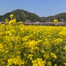 (주)아이젠스타