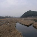 선원사 동종 이미지