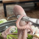 조은낙지 | 여수 여자만 와온해변 연포탕 맛집 조은식당 내돈내산 후기