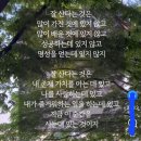 서귀포에서 출석합니다 ㅎ 이미지