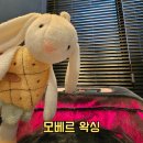 아웃닭 소사벌점 | 모베르왁싱, 저자극 슈가링으로 통증적고 꼼꼼한 평택 브라질리언왁싱 후기