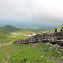 (주)천지항공여행사 이미지