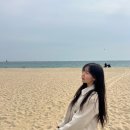 내돈내산 잘산템..🧚🏻‍♀️ #의류편