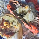 물치주차장 꽃게 화장실 | [당진 여행] 장고항 재영수산 내돈내산 후기, 전어, 꽃게, 새우, 멍게를 곁들인 무료 캠핑